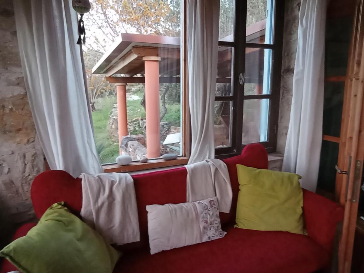 Villa Spiti Elaionas Karfás Eksteriør billede